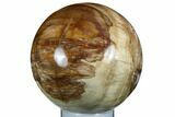 Petrified Wood (Araucaria) Sphere - Madagascar #182595-1